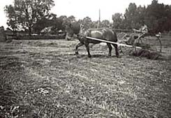 Far och Svarten r�fsar h�