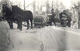 Vinterveden k�rs hem